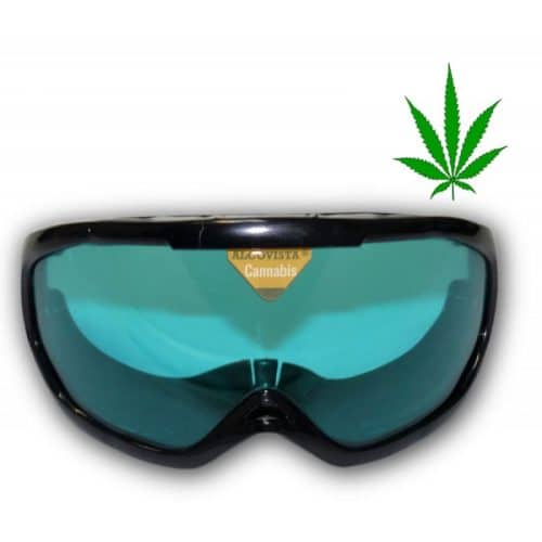 goggles simulating cannabis consumption