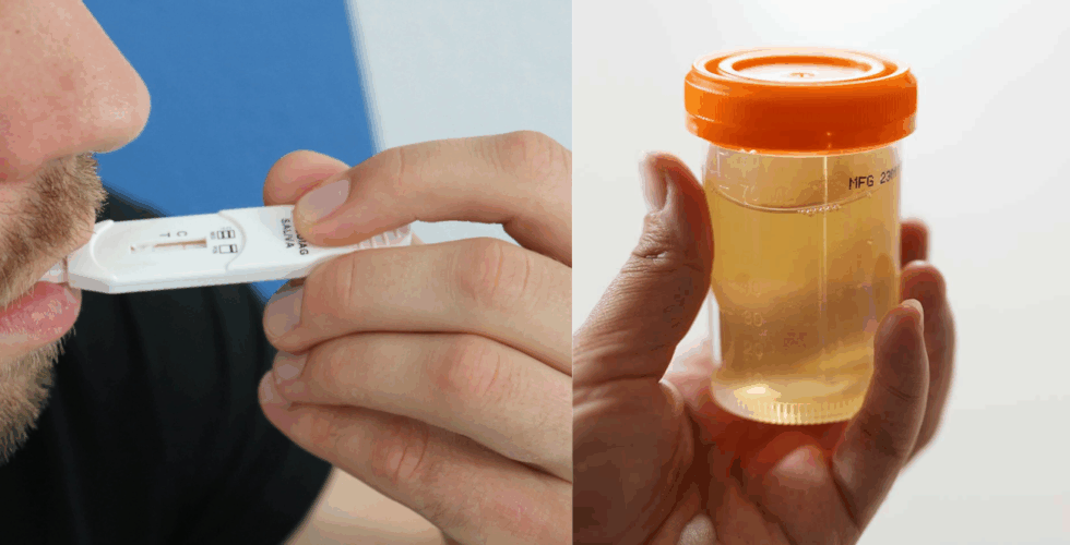 test salivaire vs urinaire