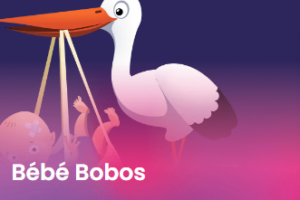 Formation Bébé Bobos